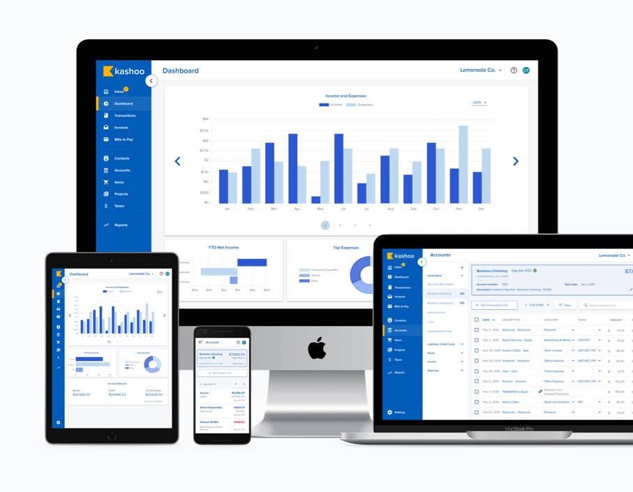 Kashoo software